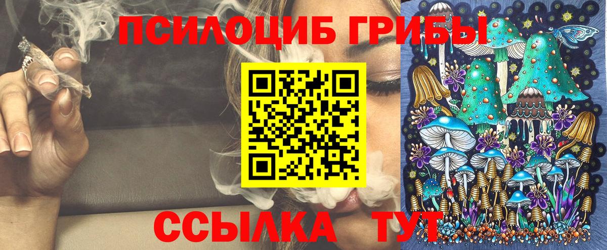 Псилоцибиновые грибы GOLDEN TEACHER Лосино-Петровский