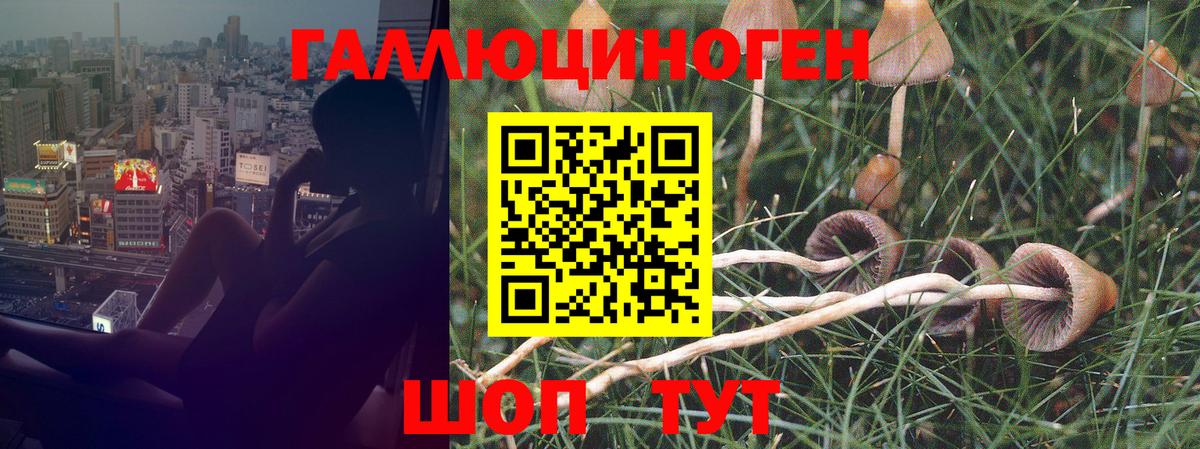 где можно купить наркотик  Вход с VPN  Лосино-Петровский  Галлюциногенные грибы мицелий 