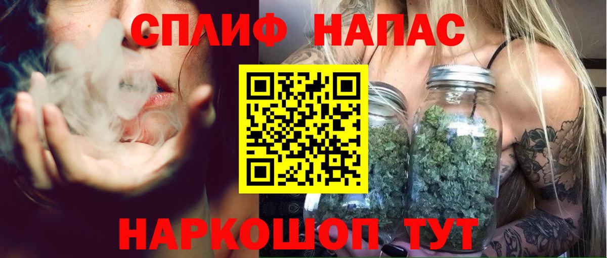 Каннабис конопля Лосино-Петровский